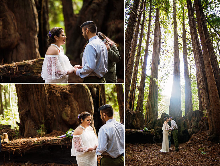 Santa Cruz wedding Photographer