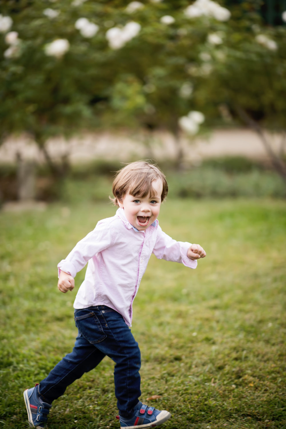 fun family portraits in palo alto