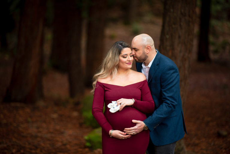 maternity portraits at sanborn park