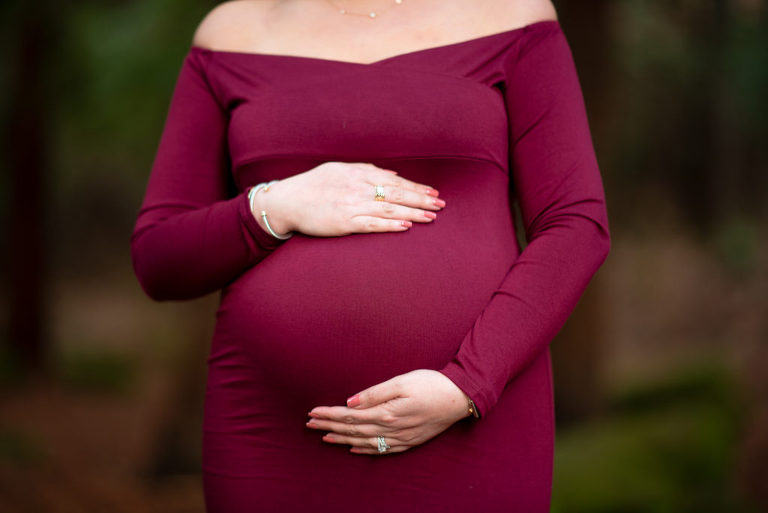 maternity portraits at sanborn park